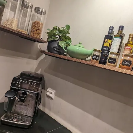 Prázdninový dům Borealis *