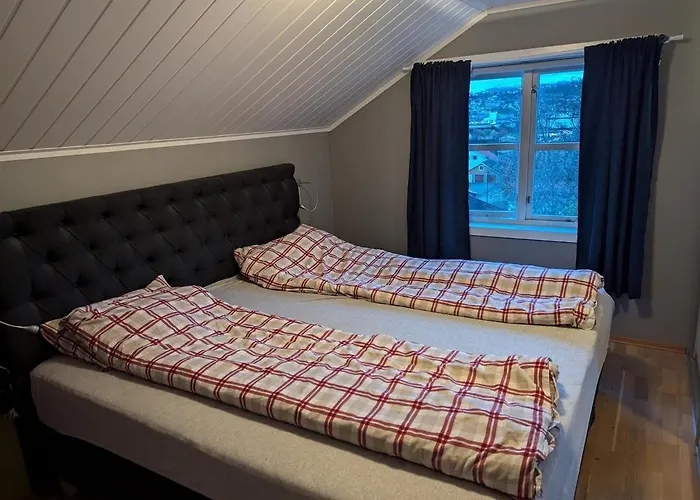 Feriehus Borealis Tromsdalen
