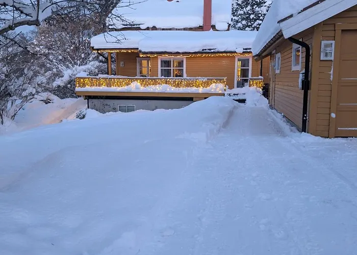 Borealis Tromsdalen
