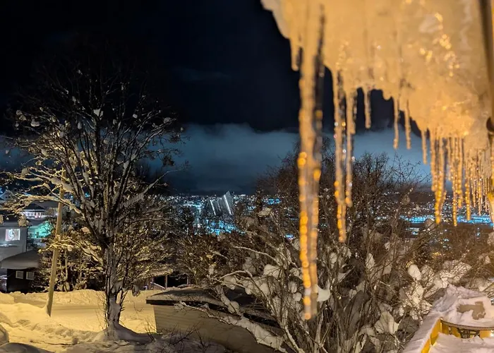 Borealis Feriehus Tromsdalen