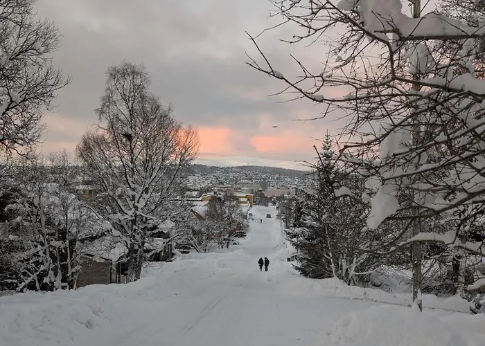 Feriehus Borealis
