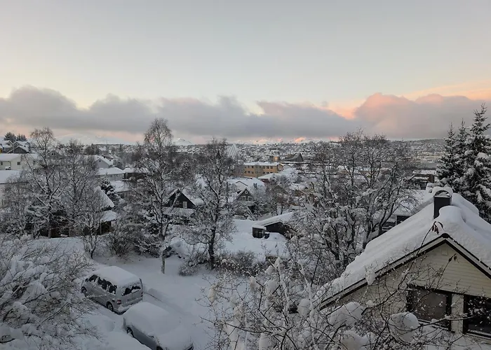 Feriehus Borealis *