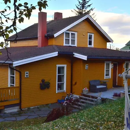 Borealis * Tromsdalen