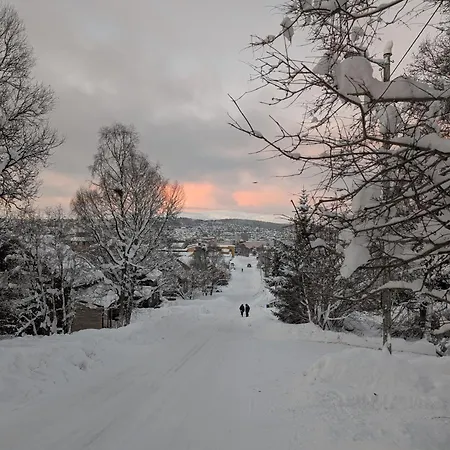 بيت للعطل Borealis